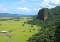Dores do Indaiá concurso