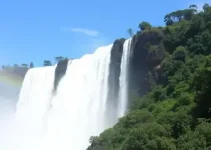 Detran Foz do Iguaçu