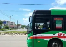 ônibus grátis em Porto Velho
